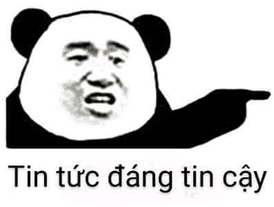 Có bạn bên cạnh, gấu trúc mềm lòng hẳn ra