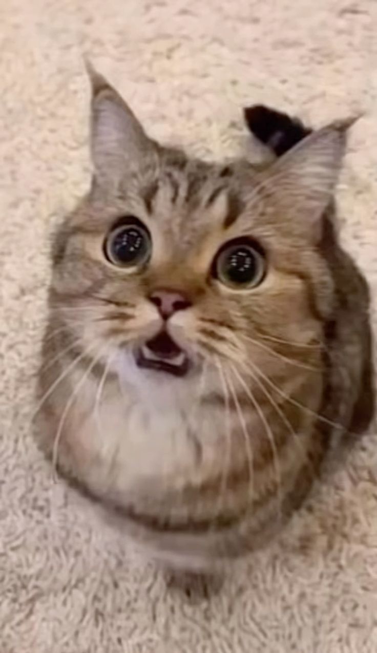 Có chuyện gì mà đột nhiên lại thế này?