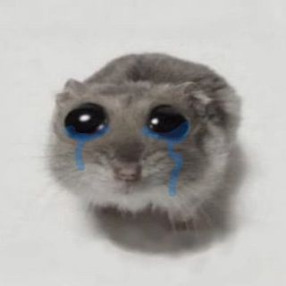 Có người rời đi, mang theo cả bình yên tôi có