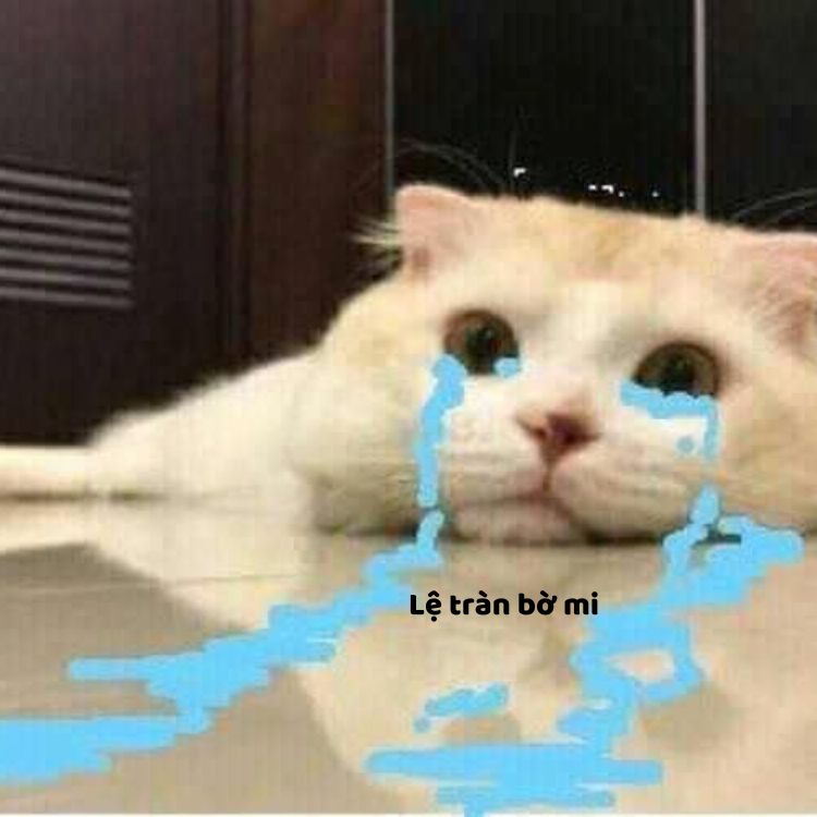 Có những ngày buồn không vì lý do gì cả