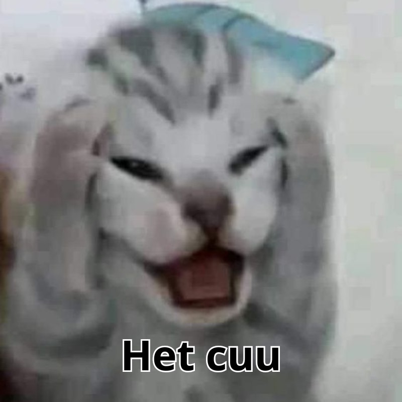 Còn cứu được meme
