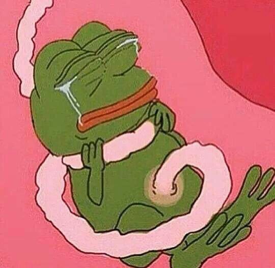 Con ếch xanh đã vượt qua ranh giới để trở thành biểu tượng toàn cầu