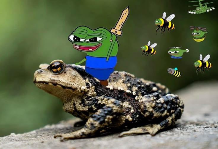 Con ếch xanh qua ảnh chế giúp mọi cuộc trò chuyện thêm phần dí dỏm