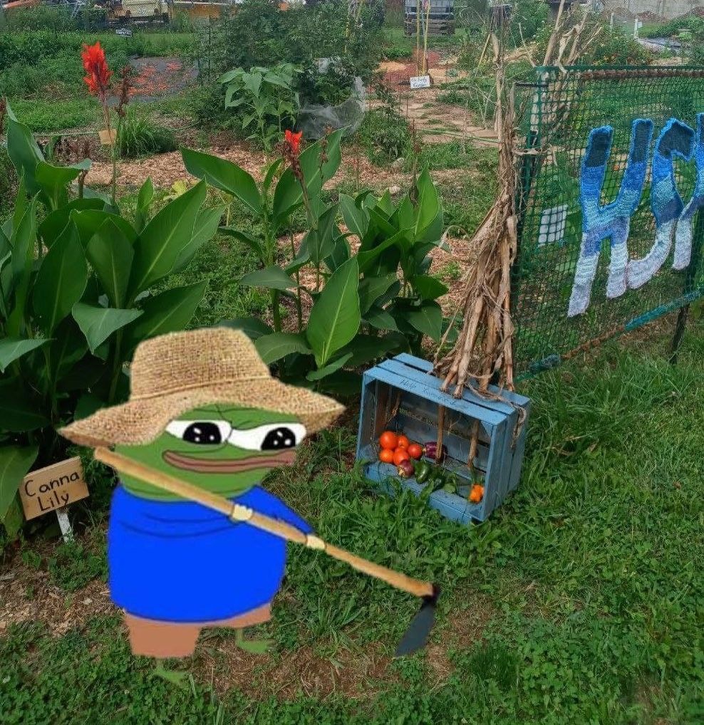 Con ếch xanh trong ảnh troll đã trở thành nguồn cảm hứng sáng tạo