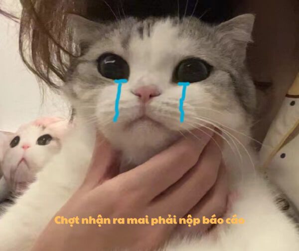 Còn gì nữa đâu mà khóc với sầu, em đã buông tay