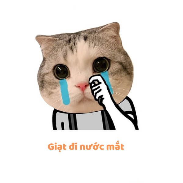 Còn gì nữa đâu mà khóc với sầu, khóc rồi ai lau?