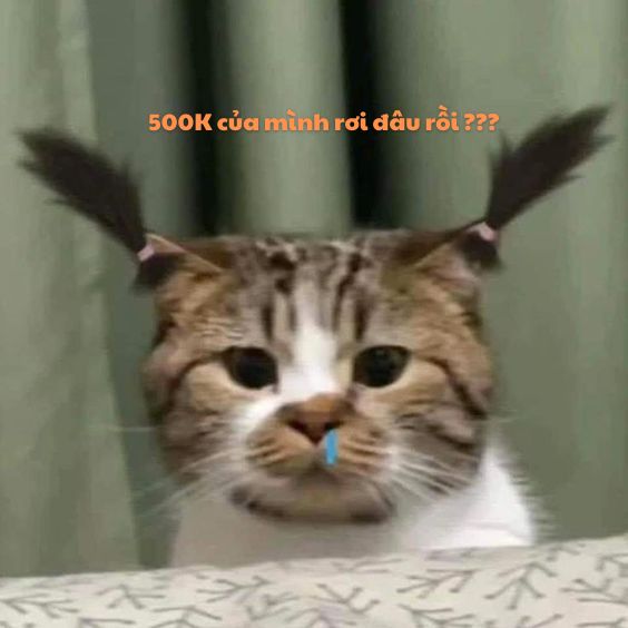 Còn gì nữa đâu mà khóc với sầu, tôi cũng lặng rồi