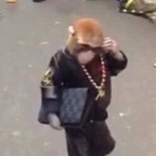 Con khỉ meme ánh mắt ngơ ngác