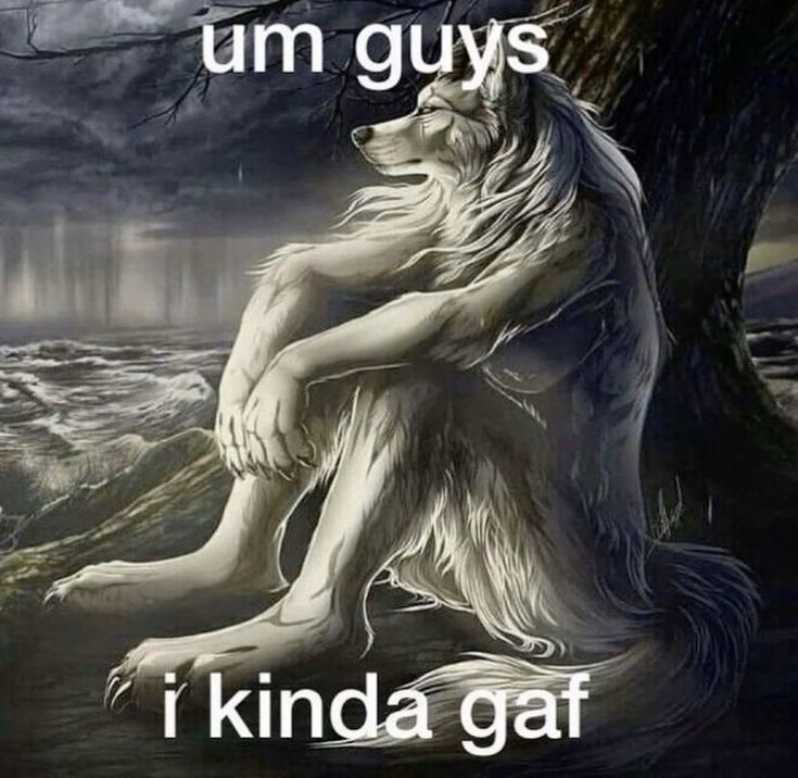 Con sói cô độc meme thường gắn liền với những câu chữ hài hước ngẫu nhiên
