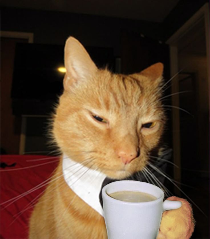 Cứ tưởng biết nghe lời, ai ngờ là diễn