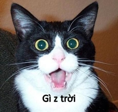 Cứ tưởng bình thường, ai ngờ cú twist