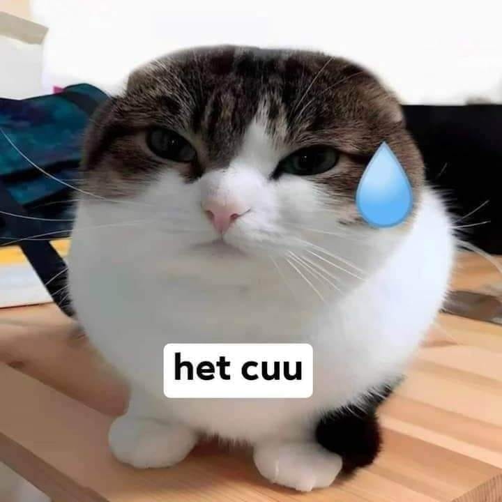 Cũng ráng rồi nhưng hết cứu