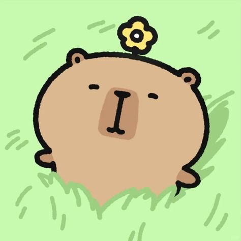 Cuộc sống xô bồ, capybara chọn nằm ườn