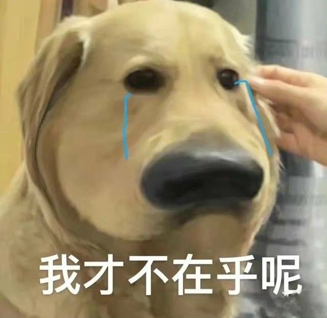 Cười lên cho đời đỡ khổ, rồi lại khổ tiếp