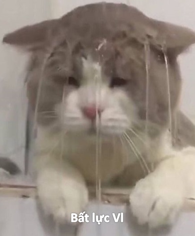 Đã thử mọi cách, giờ thì đợi phép màu