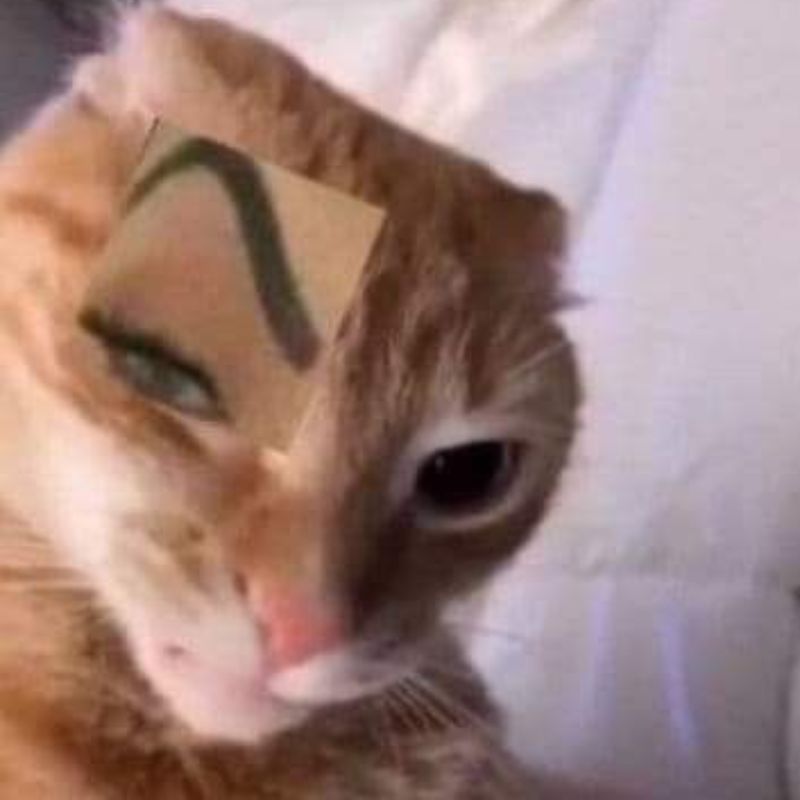 Đang ngồi yên tự dưng nổi khùng không lý do