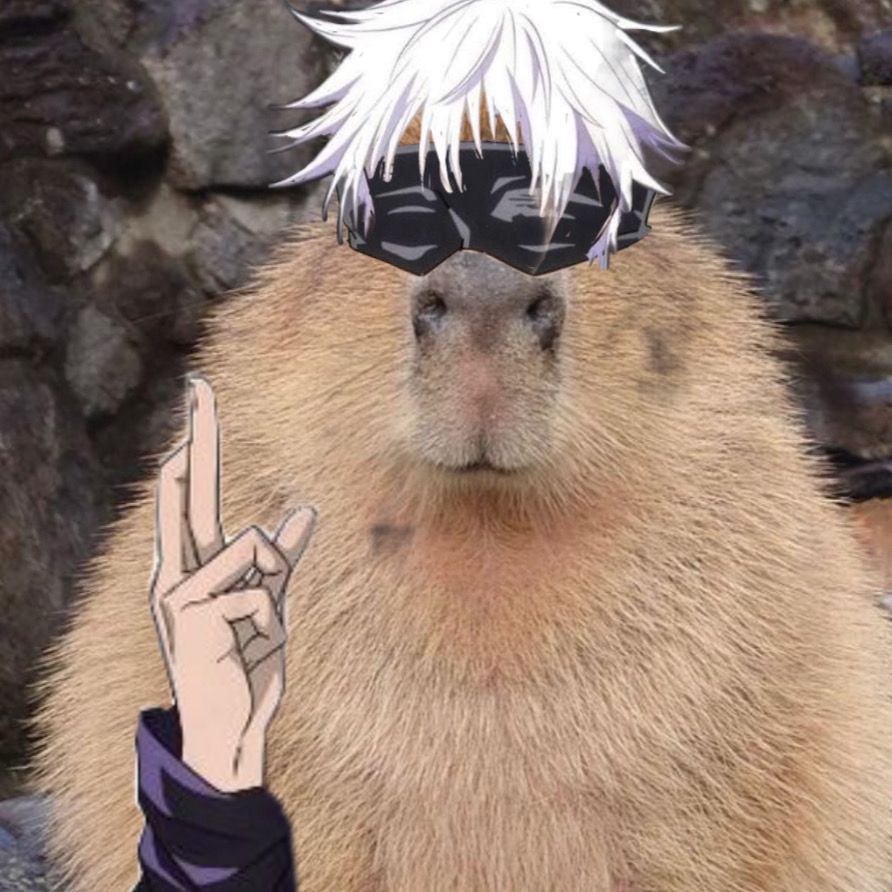 Deadline dí, capybara vẫn ung dung