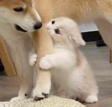 Đôi khi không ổn cũng là chuyện bình thường