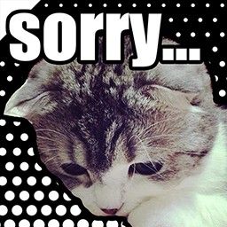 Đôi khi xin lỗi chỉ là cách để đổi chủ đề