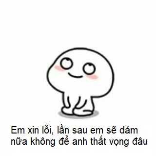 Đơn xin lỗi meme