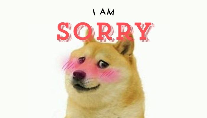 Dù có lỗi, tôi vẫn xin lỗi rất có phong cách