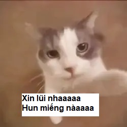 Dù sai hay đúng,