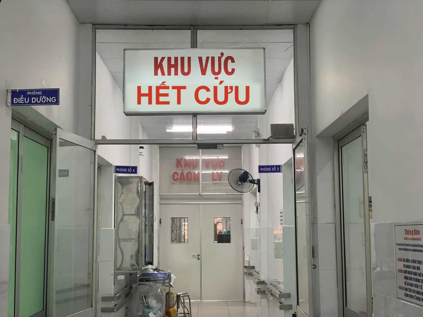 Đưa đi cấp cứu cũng thua