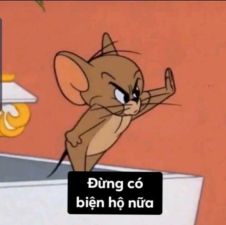 Đừng có biện hộ nữa