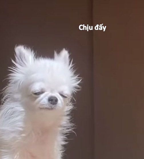 Đứng giữa bão tố mà không thèm đội mũ