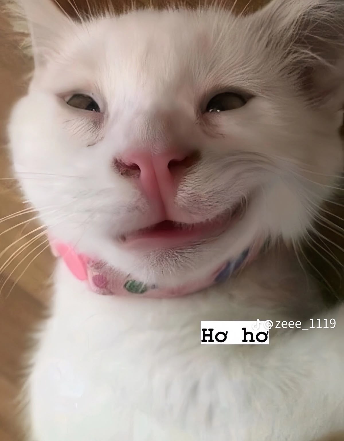 Đừng hỏi vì sao mập, hãy hỏi vì sao ăn mãi không no