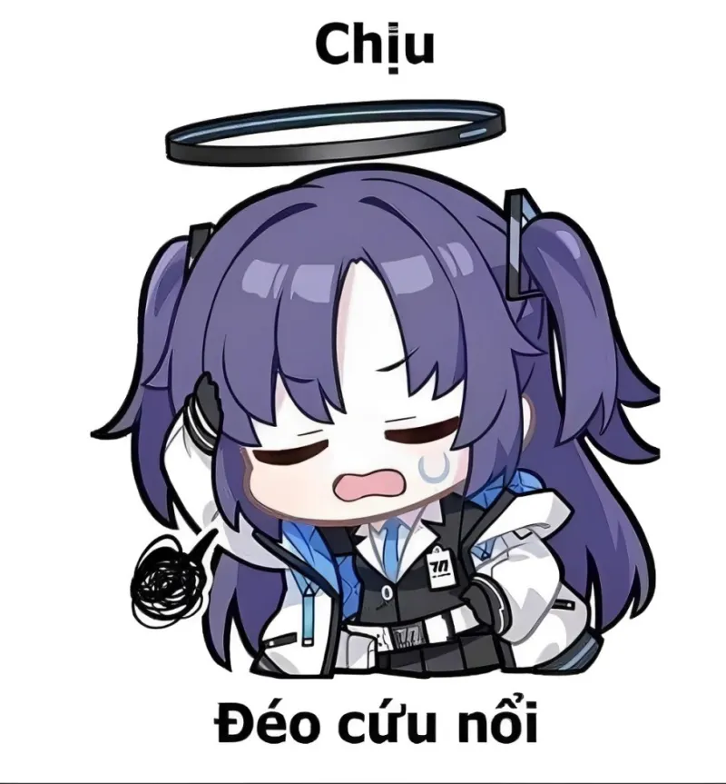 Đúng là không thể giáo dục