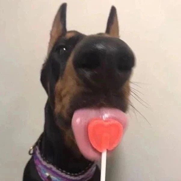 Đừng tưởng mặt ngu là tao không biết diễn nha