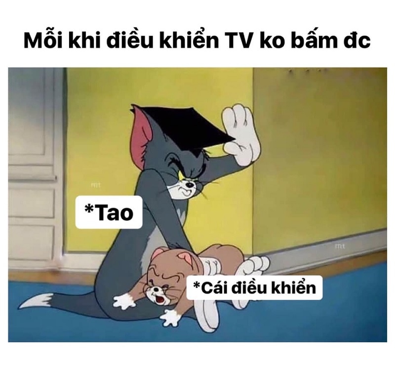 Tao không bắt được Jerry, nhưng mày cũng không vui