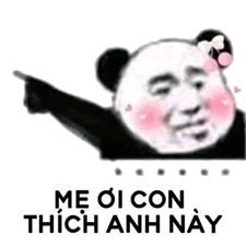 Gấu trúc im lặng là lúc nguy hiểm nhất