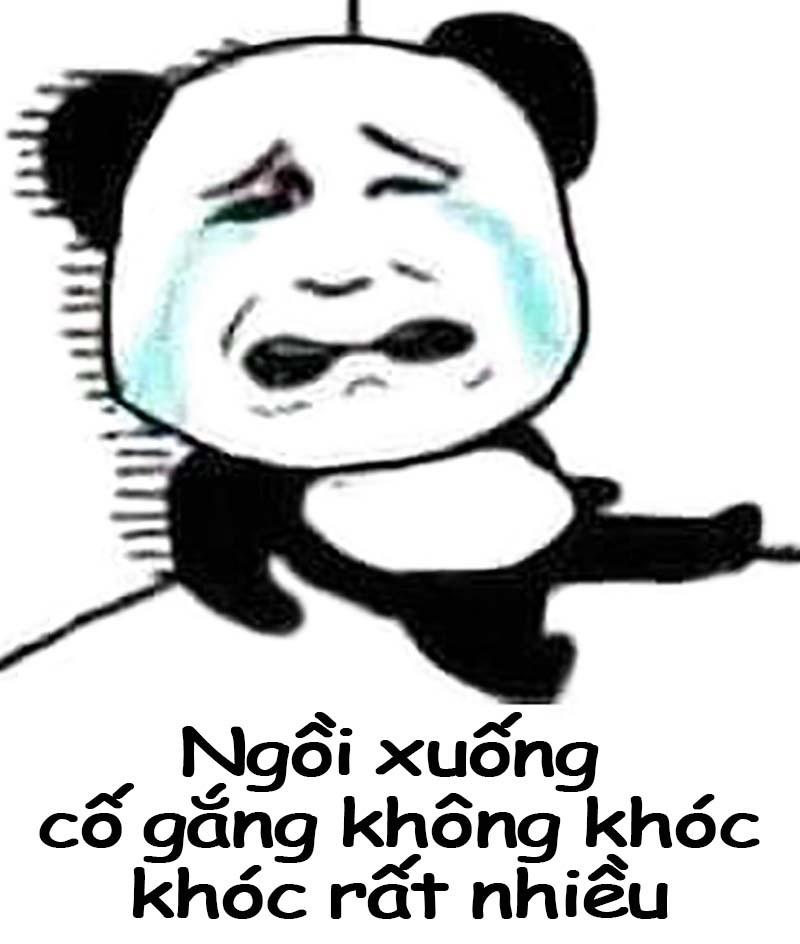 Gấu trúc không nói nhiều, chỉ hành động chính xác