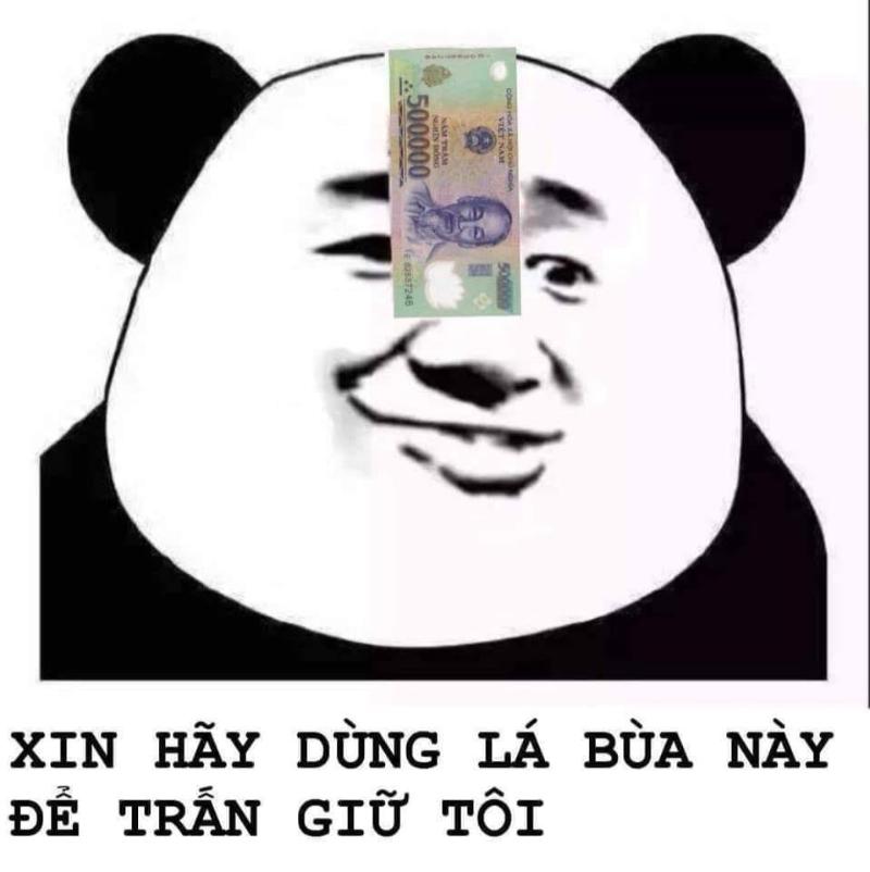 Gấu trúc không thích hơn thua, nhưng không chịu thua