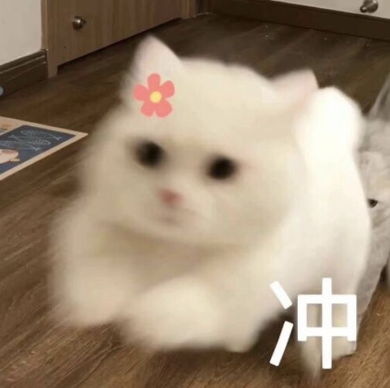 Giả bộ cười, thật ra muốn bốc hơi