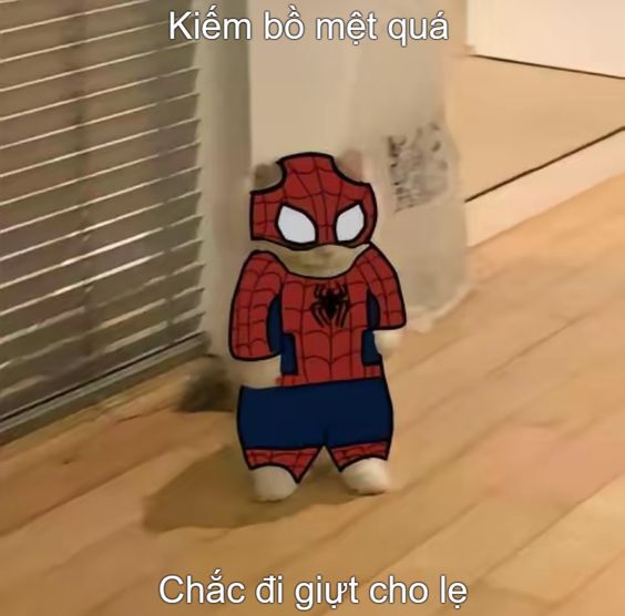 Giả vờ chill nhưng trong lòng đang hoảng loạn