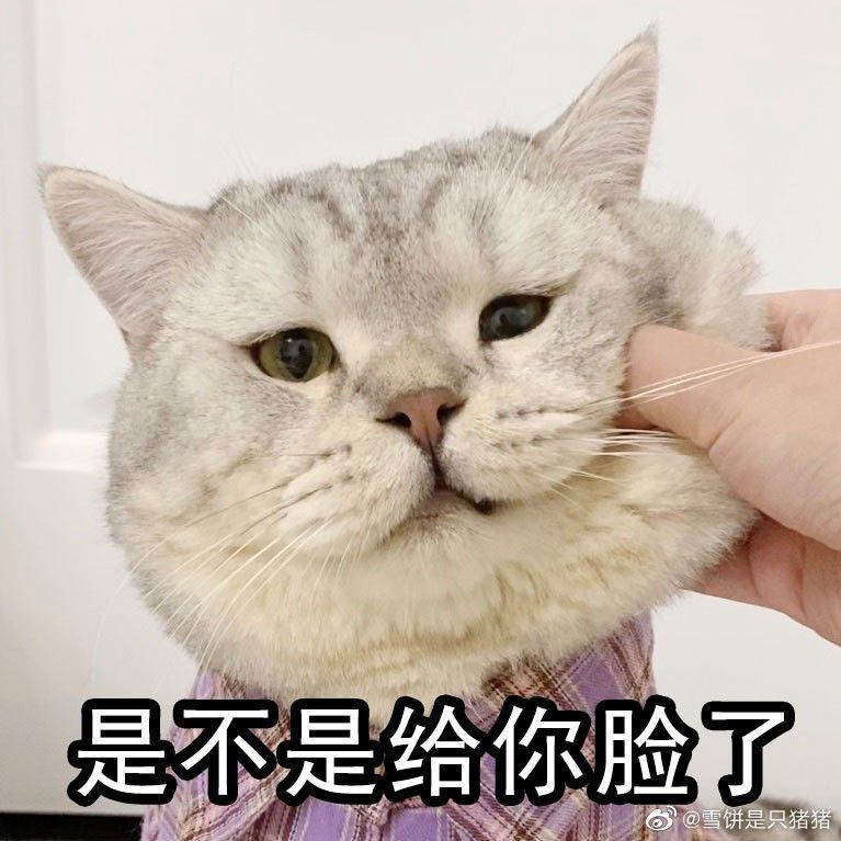 Gió nổi lên là biết: tâm trạng ai đó tan nát