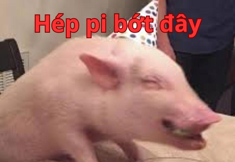 Happy Birthday meme