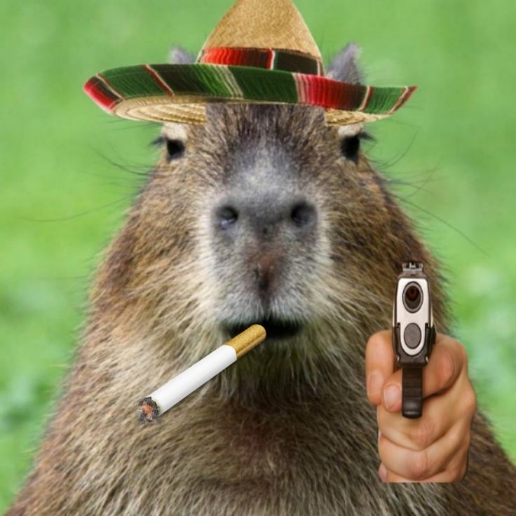 Hãy là capybara, không là ai khác