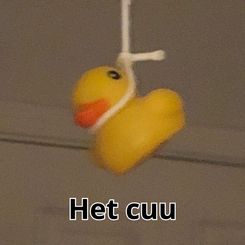 Hết cứu meme hài hước