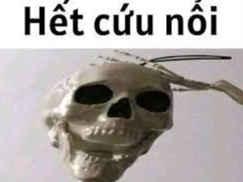 Hết cứu meme