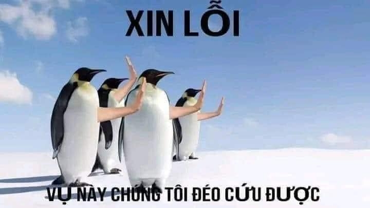 Hết cứu nổi meme