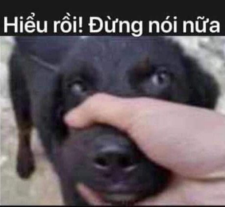 Hiểu rồi! Đừng nói nữa