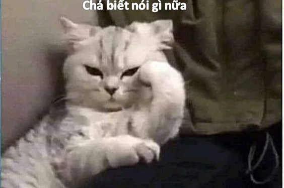 Hình ảnh bất lực meme