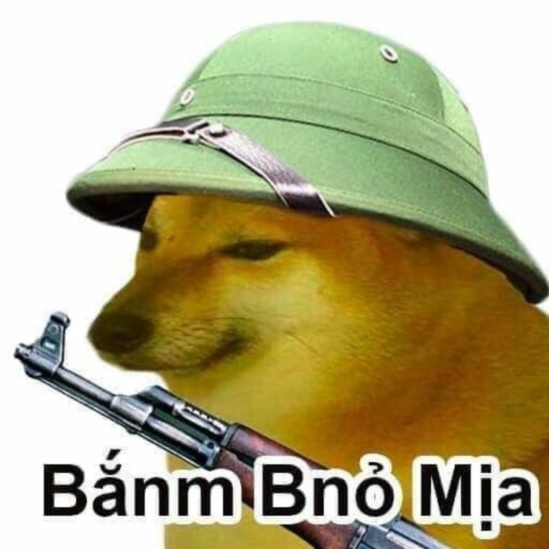 Hình Cheems meme