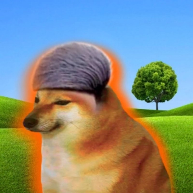 Hình nền Cheems meme