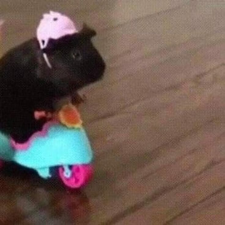 Hình nền vô tri ngầu