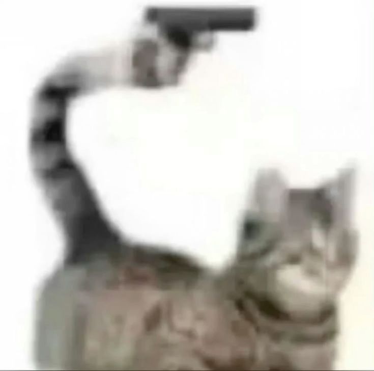 Hình troll súng nước dễ thương